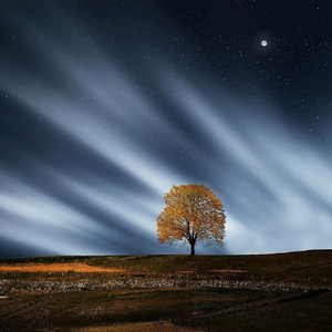 欧美色图在线播放
